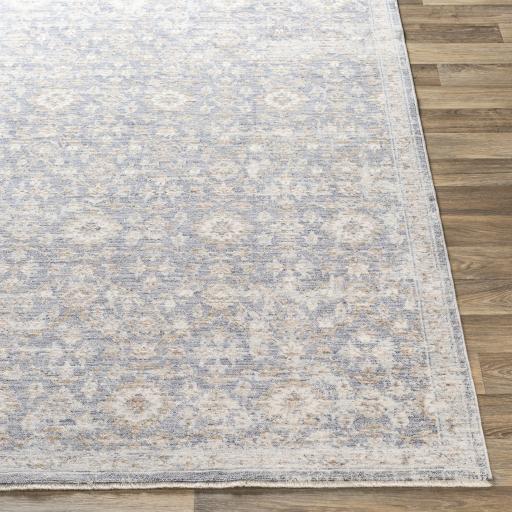 Surya Palazzo PZL-2303 2' x 3'3" Rug