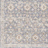 Surya Palazzo PZL-2303 2' x 3'3" Rug