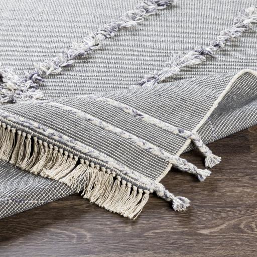Surya Palo Alto PLA-2303 2' x 3' Rug