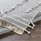 Surya Palo Alto PLA-2303 2' x 3' Rug