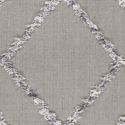 Surya Palo Alto PLA-2303 2' x 3' Rug