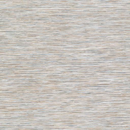 Surya Pasadena PSA-2303 5'3" x 7'3" Rug
