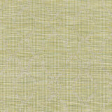 Surya Pasadena PSA-2330 2'6" x 4' Rug