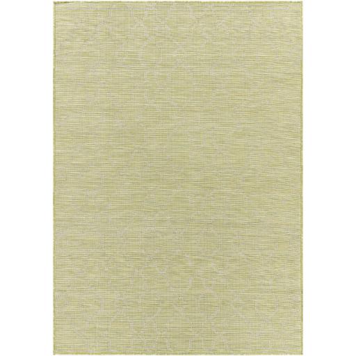 Surya Pasadena PSA-2330 2'6" x 4' Rug
