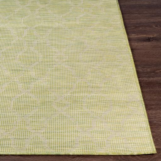 Surya Pasadena PSA-2330 2'6" x 7'3" Rug