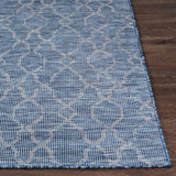 Surya Pasadena PSA-2333 2'6" x 7'3" Rug