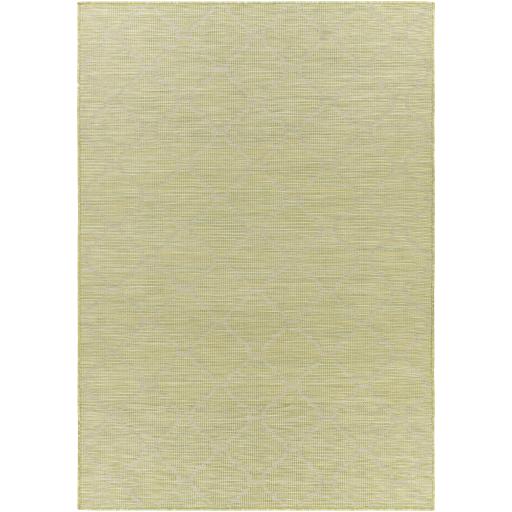 Surya Pasadena PSA-2337 5'1" x 7' Rug