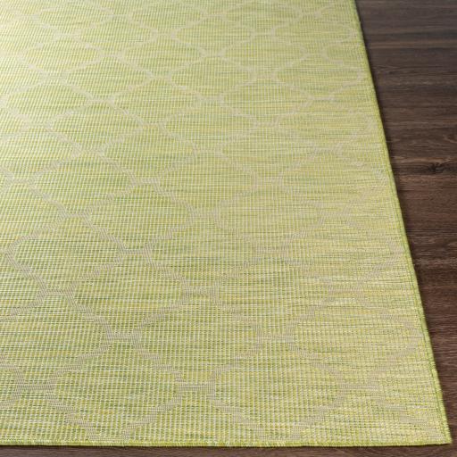 Surya Pasadena PSA-2337 5'1" x 7' Rug
