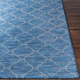 Surya Pasadena PSA-2340 2'6" x 7'3" Rug