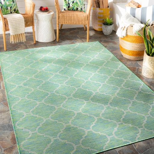 Surya Pasadena PSA-2346 2'6" x 4' Rug