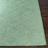 Surya Pasadena PSA-2346 Blue Grass Green 2'6" x 4' Rug