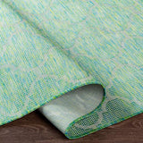 Surya Pasadena PSA-2346 2'6" x 4' Rug