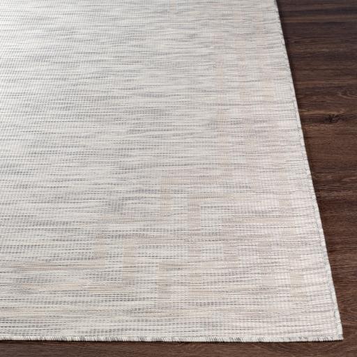 Surya Pasadena PSA-2352 2'6" x 4' Rug