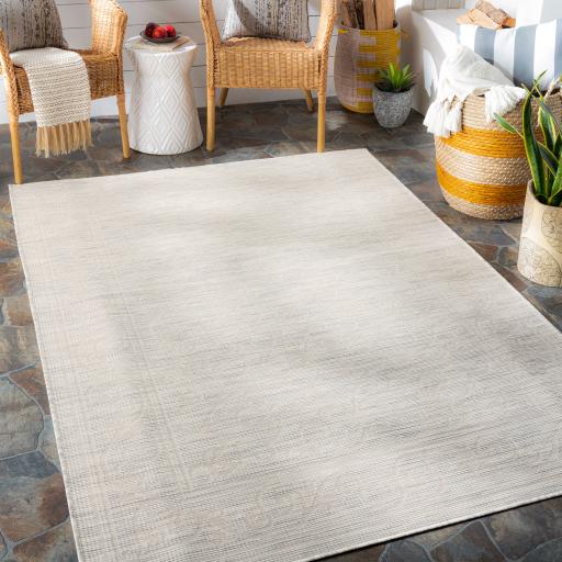 Surya Pasadena PSA-2359 2'6" x 4' Rug