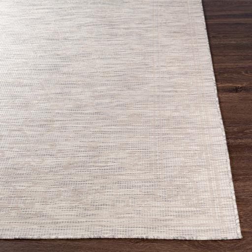Surya Pasadena PSA-2359 2'6" x 4' Rug