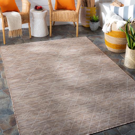 Surya Pasadena PSA-2361 2'6" x 4' Rug