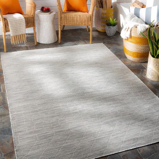 Surya Pasadena PSA-2376 2'6" x 4' Rug