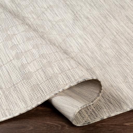 Surya Pasadena PSA-2376 2'6" x 4' Rug