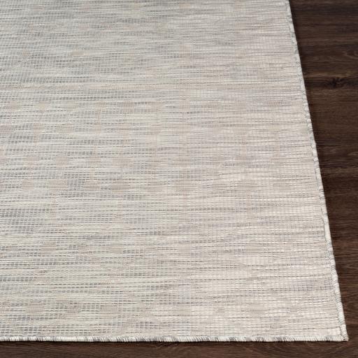 Surya Pasadena PSA-2376 5'1" x 7' Rug