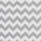 Surya Picnic PIC-4008 Cream Gray 2' x 3' Rug