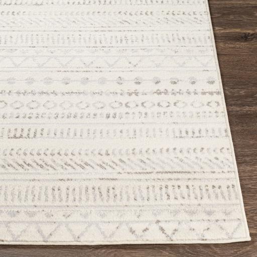 Surya Pisa PSS-2304 4'3" x 5'7" Rug