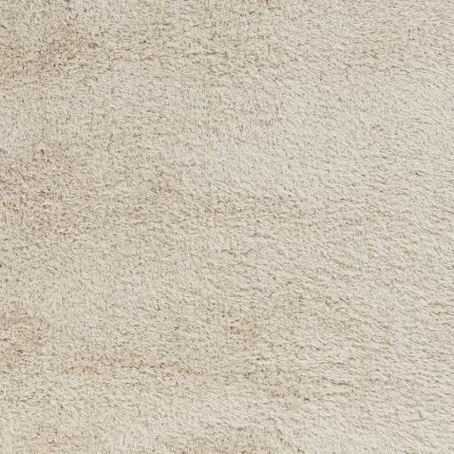 Surya Portland PLD-2001 2' x 3' Rug
