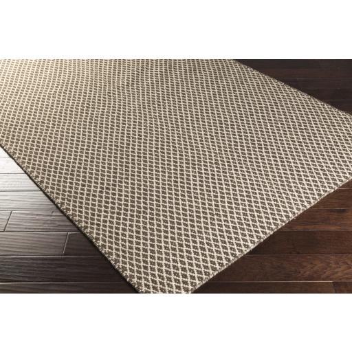 Surya Ravena RVN-3002 Dark Brown Oatmeal 2' x 3' Rug