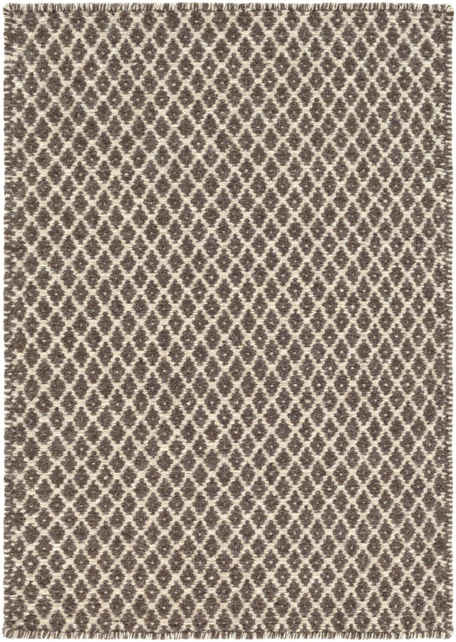 Surya Ravena RVN-3002 Dark Brown Oatmeal 5' x 8' Rug
