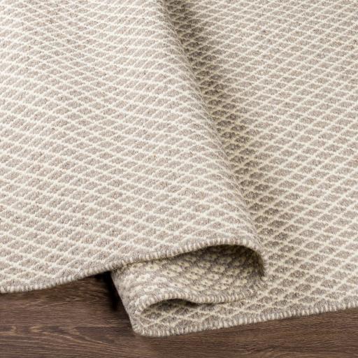 Surya Ravena RVN-3003 2'6" x 8' Rug