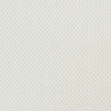 Surya Ravena RVN-3113 Cream Ice Blue 2' x 3' Rug