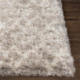 Surya Rhapsody RHA-1032 2' x 2'11" Rug