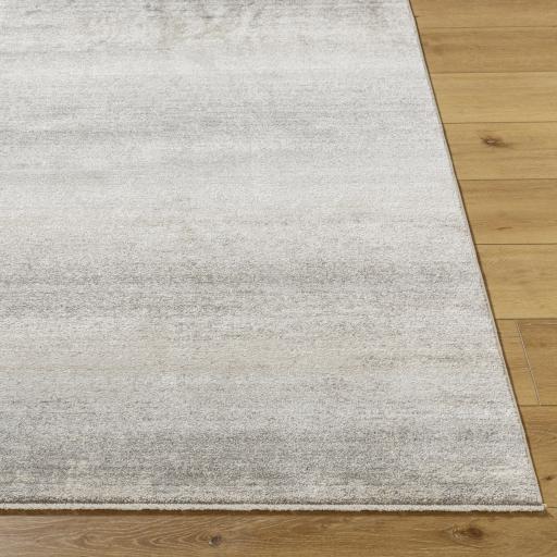 Surya Rojin ROJ-2308 2'6" x 7'3" Rug