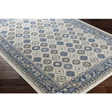 Surya Roosevelt ROO-6206 Beige Blue 2'8" x 8' Rug