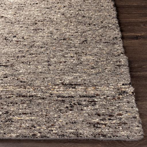 Surya Sawyer SAW-2301 2' x 3' Rug