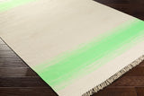 Surya Shine SHN-2000 2' x 3' Hand Made Rug
