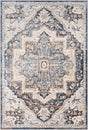 Livabliss St Tropez SRZ-2303 6'7" x 9'2" Machine Woven Rug