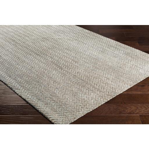Surya Talise TLE-1001 Aqua Medium Brown 2' x 3' Rug