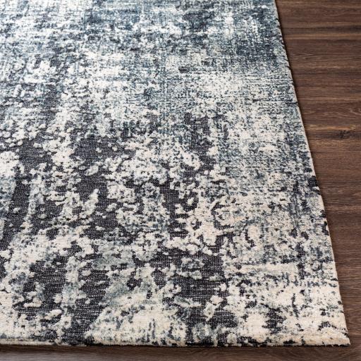Surya Talise TLE-1008 Charcoal Cream 2' x 3' Rug
