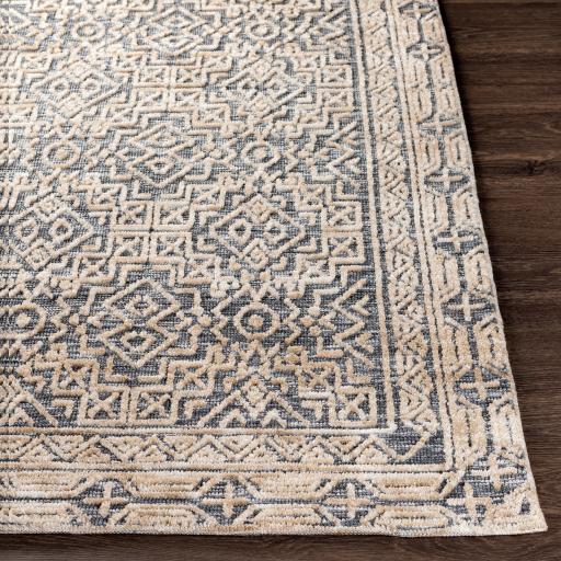 Surya Talise TLE-1011 Cream Light Beige 2' x 3' Rug