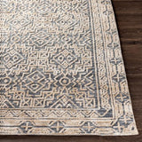 Surya Talise TLE-1011 2' x 3' Rug
