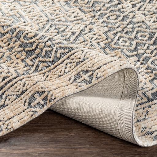 Surya Talise TLE-1011 2' x 3' Rug