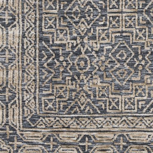 Surya Talise TLE-1011 2' x 3' Rug