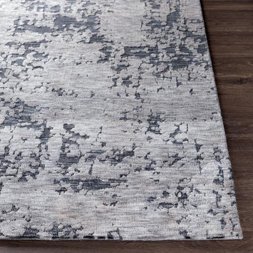 Surya Talise TLE-1012 Charcoal Light Gray 2' x 3' Rug