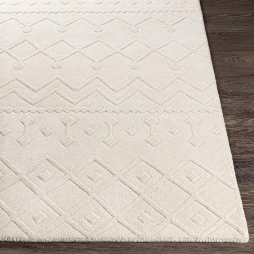 Surya Taraash TRH-2303 2' x 3' Rug