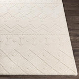 Surya Taraash TRH-2303 2' x 3' Rug