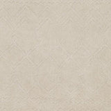 Surya Taraash TRH-2303 2' x 3' Rug