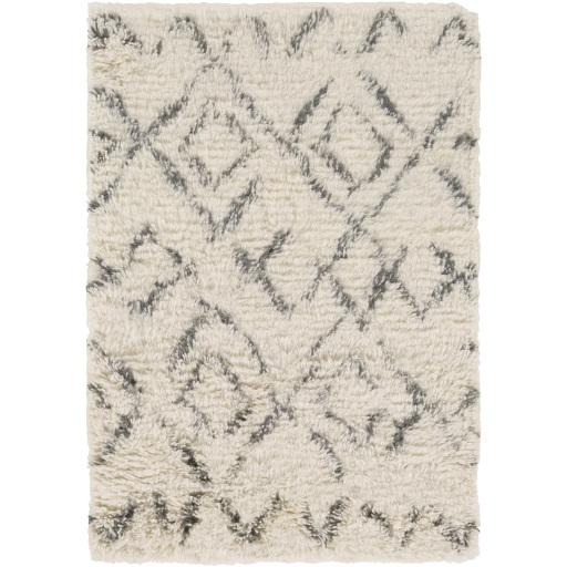 Surya Tasman TAS-4500 2' x 3' Rug