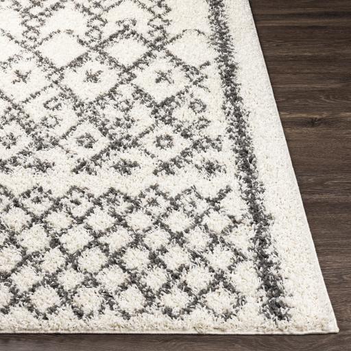 Surya Taza Shag TZS-2301 Charcoal Cream 5'2" x 7' Rug