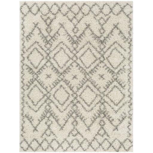 Surya Taza Shag TZS-2326 5'2" x 7' Rug