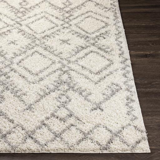 Surya Taza Shag TZS-2326 5'2" x 7' Rug
